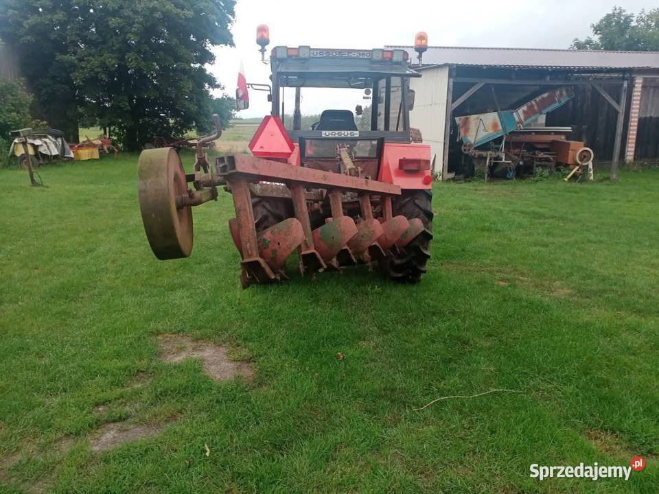 Pług wielkopolskie Nowa Wiśniewka