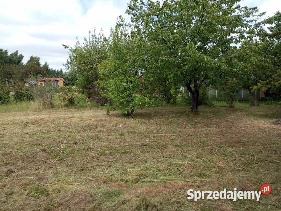 Sprzedam Działkę ROD pomorskie Starogard Gdański