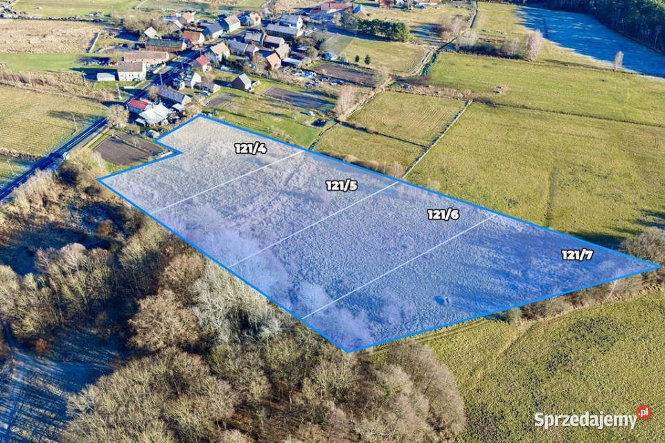 Na sprzedaż 4 działki rolne łącznie 18479 m Grunty i działki Chełm Żarski