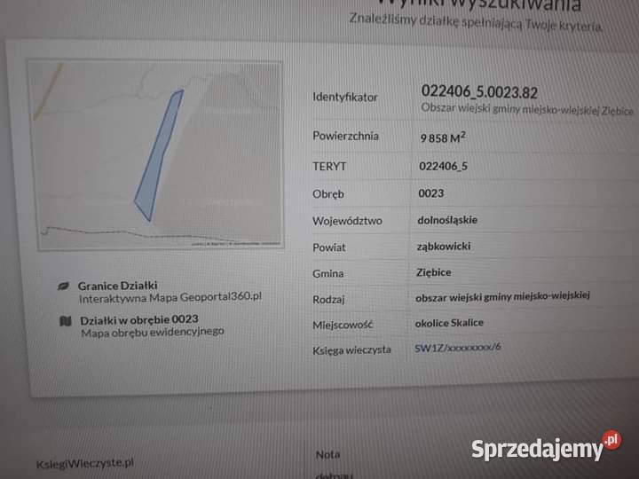Miejsce na pasiekę Wynajem sprzedam