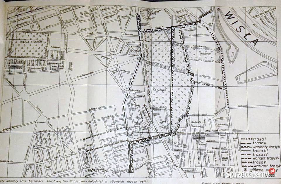 W alejach spacerują tygrysy sierpieńwrzesień twarda z obwolutą