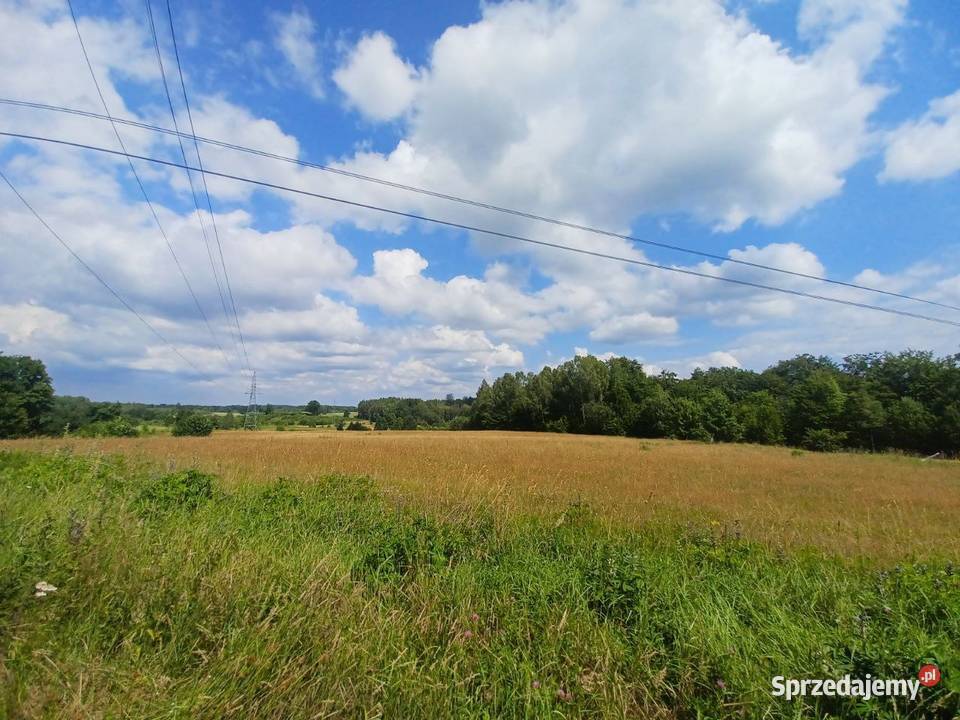 Działka budowlana zachodniopomorskie Kołtki