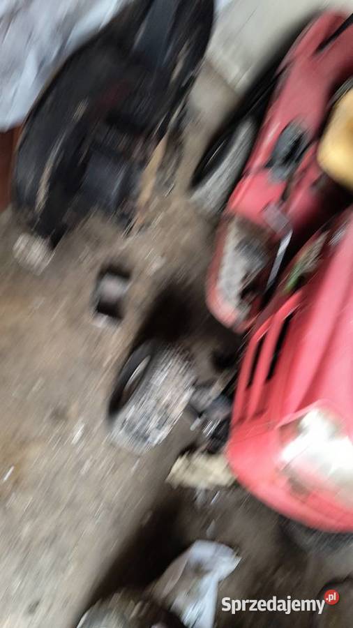 Kosiarka świętokrzyskie Rosochy