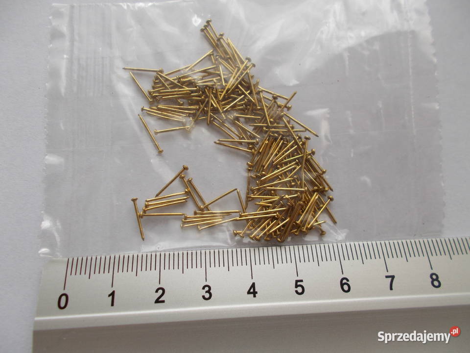 Małe gwoździe modelarskie gwóźdź 10x05 mm 100 2 Ruda Śląska