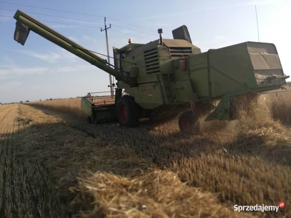 Sprzedam CLAAS MERCATOR 75 Zbożowe Granowo