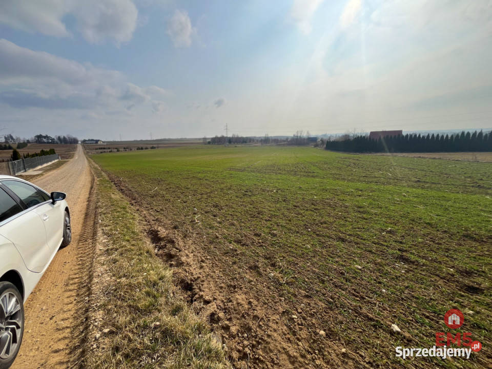 Działkę sprzedam 10000m2 Nowe Aleksandrowo podlaskie