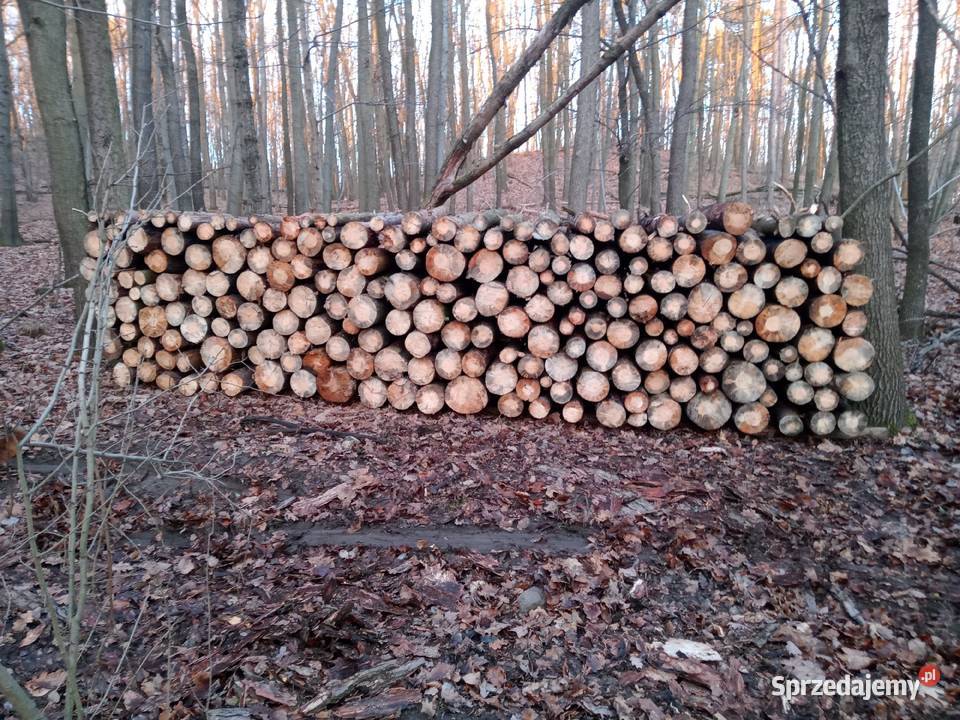 Sprzedam drewno opałowekominkowe Rudna