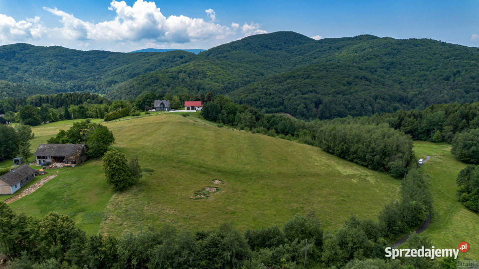 Grunt sprzedam 6500m2 Zegartowice Zegartowice gaz