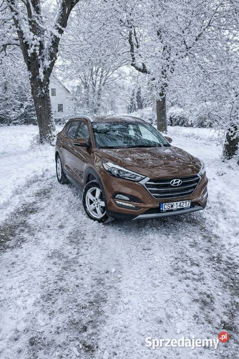 Sprzedam Hyunday Tucson kujawsko-pomorskie Krusze