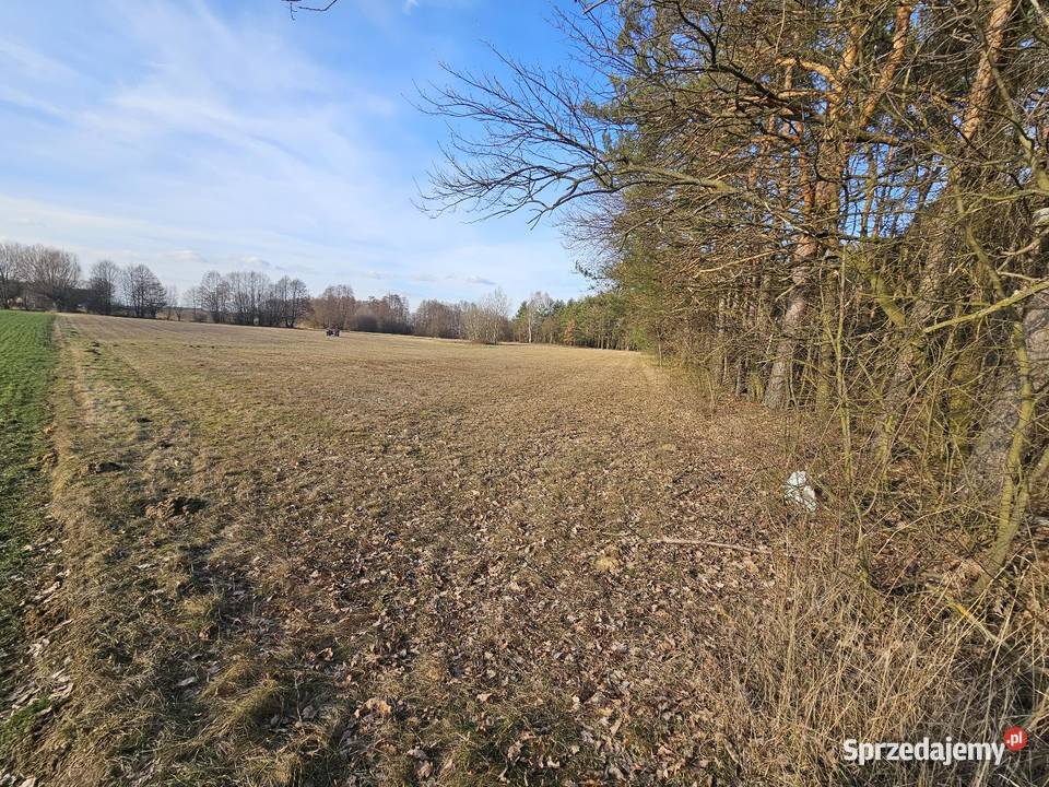 Działka Rolna Kolonia Rozniszew Warka sprzedam