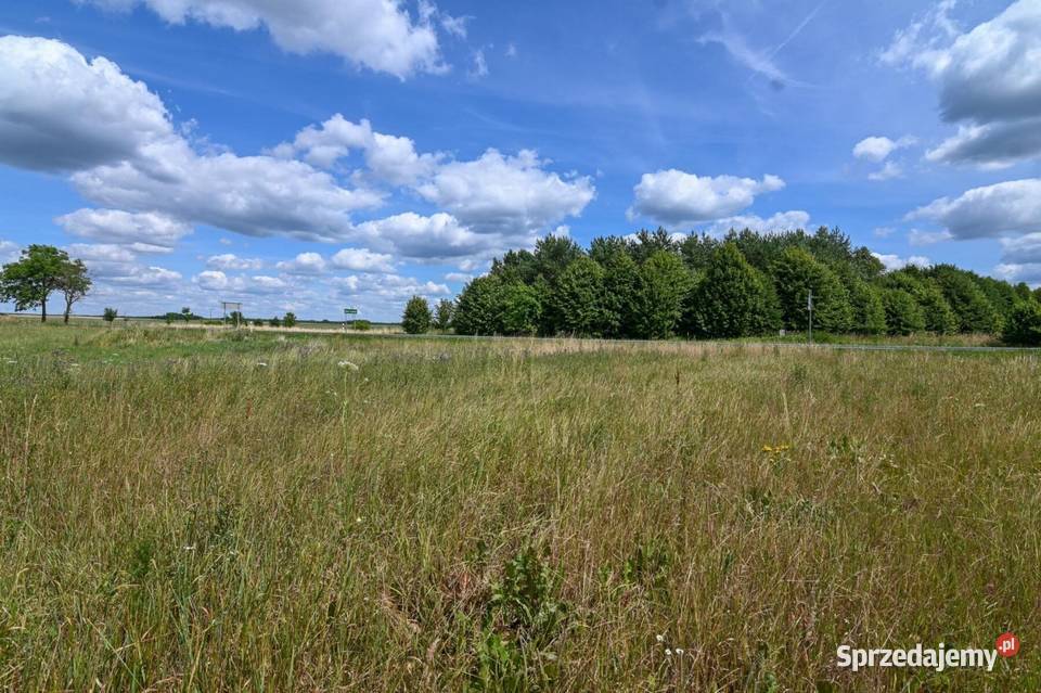 Sprzedam działkę 4800 m2 z Warunkami Zabudowy Sprzedaż Szwecja