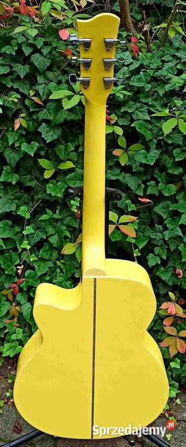 Gitara akustyczna Richwood RG15CYS Tuszyn sprzedam