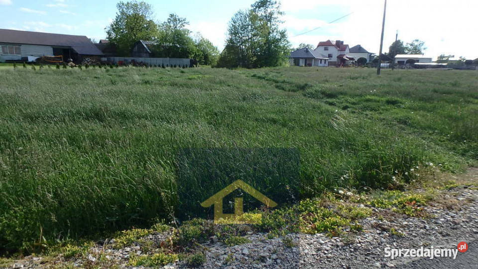 Działka w Lubicach Lubice
