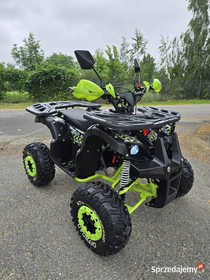 Quad Apollo Grizzly 125cc 11 z Wstecznym Stan 125cm3 Pozostałe Kruszwica
