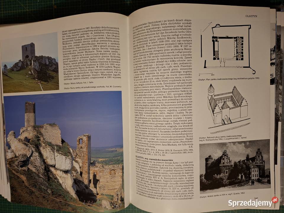 Leksykon Zamków w Polsce L Kajzer Arkady ISBN 8321341586 Kraków