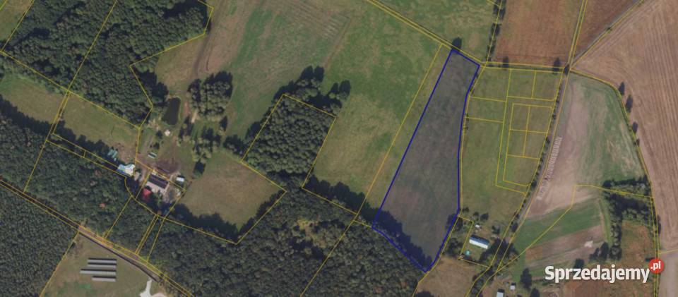 Sprzedam ziemię rolną 9 działek budowlanych z 22169m2 Glinki