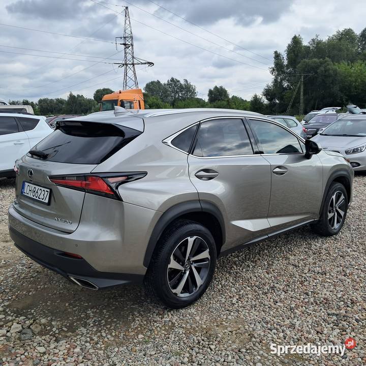 Lexus NX 300 Premium Niski przebieg Skóry Stan Rok produkcji 2021 Motoryzacja