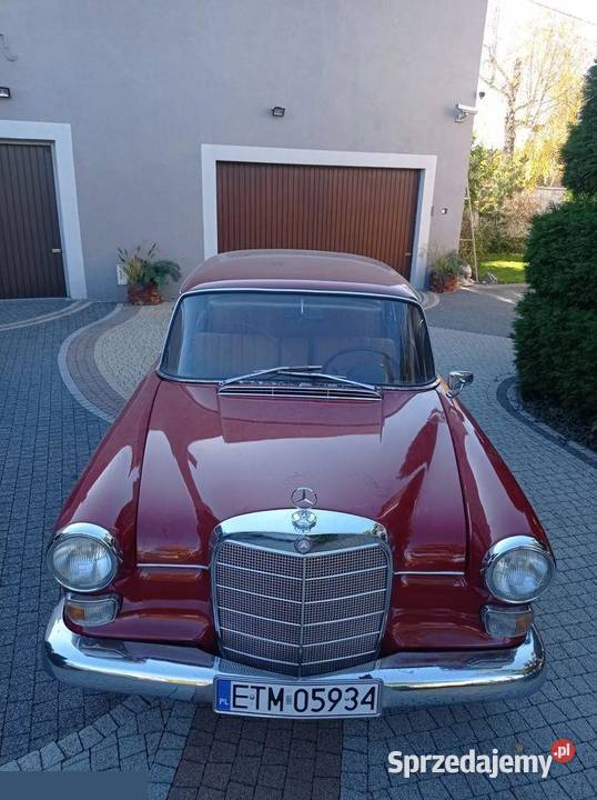 MercedesBenz 20d 55 1967r renowacji
