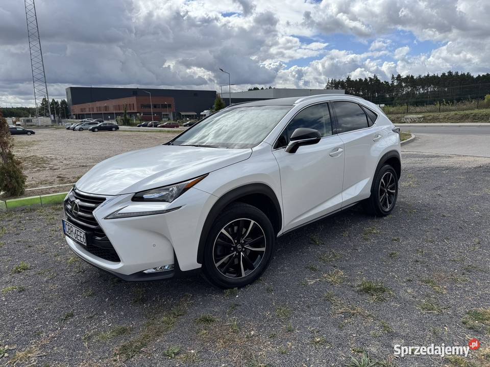 LEXUS NX200t 237KM kujawsko-pomorskie Brodnica