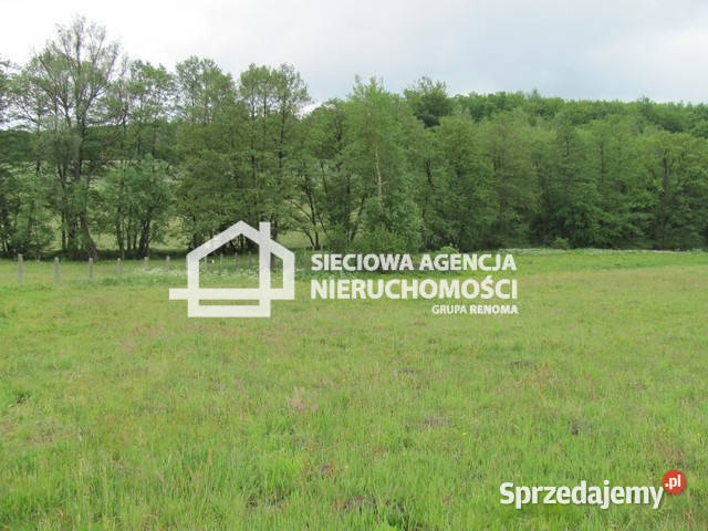 sprzedaży gruntu 5600m2 Marszewska Góra