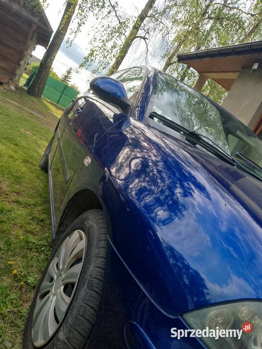 Seat Ibiza Ryki