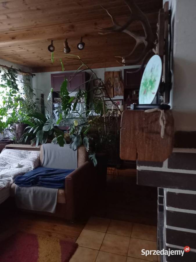 Dom wiejski bez sąsiadów lubuskie ok Janiszowic lubuskie