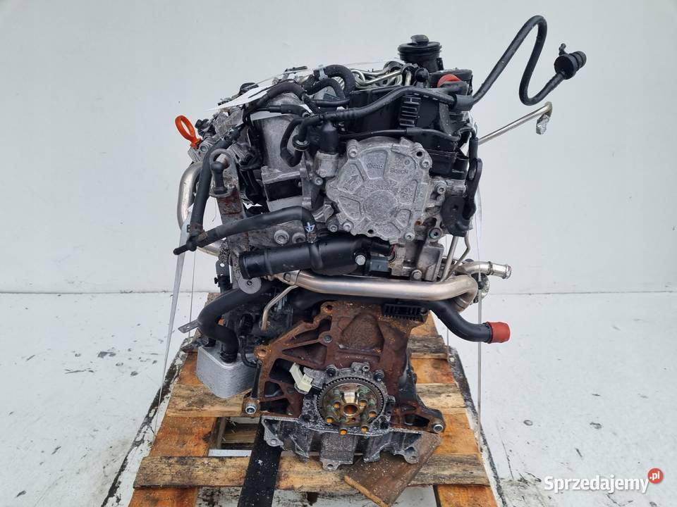 SILNIK BEZ OSPRZĘTU Audi A3 II 8P 20 TDI 140 osobowe Silniki kompletne Janów