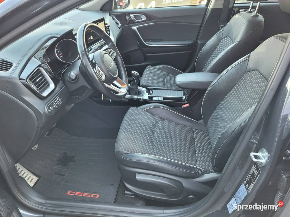 Kia Nowy Ceed Business Line 15 TGDI160 Kia Toruń