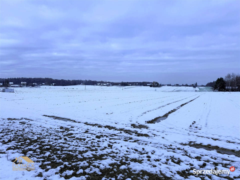 sprzedaży działki 1000 metrów Dębowiec