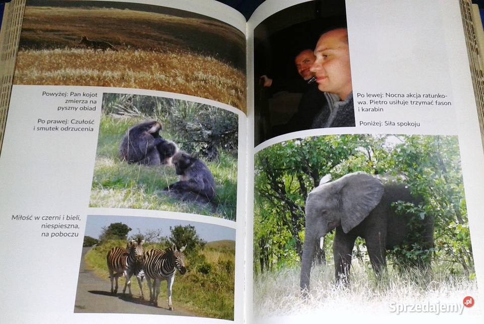 Zapiski nosorożca Łukasz Orbitowski Rok wydania 2014 Pozostałe Chełm