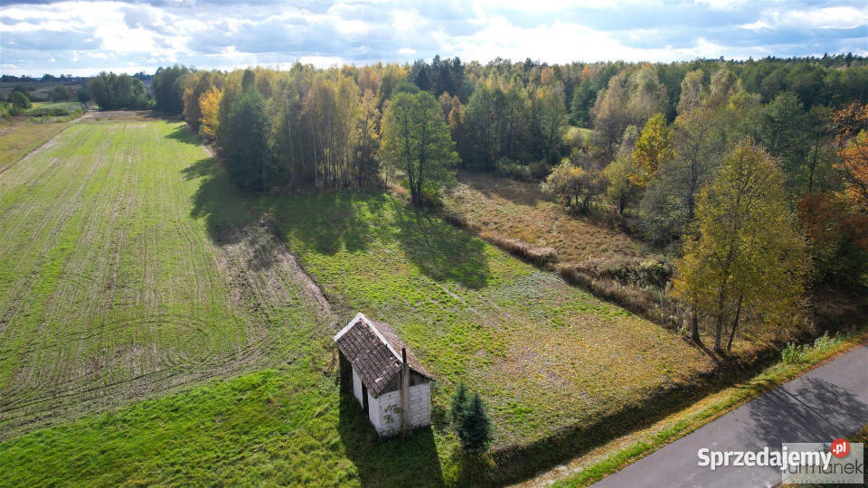 Działka Margole 7900m2