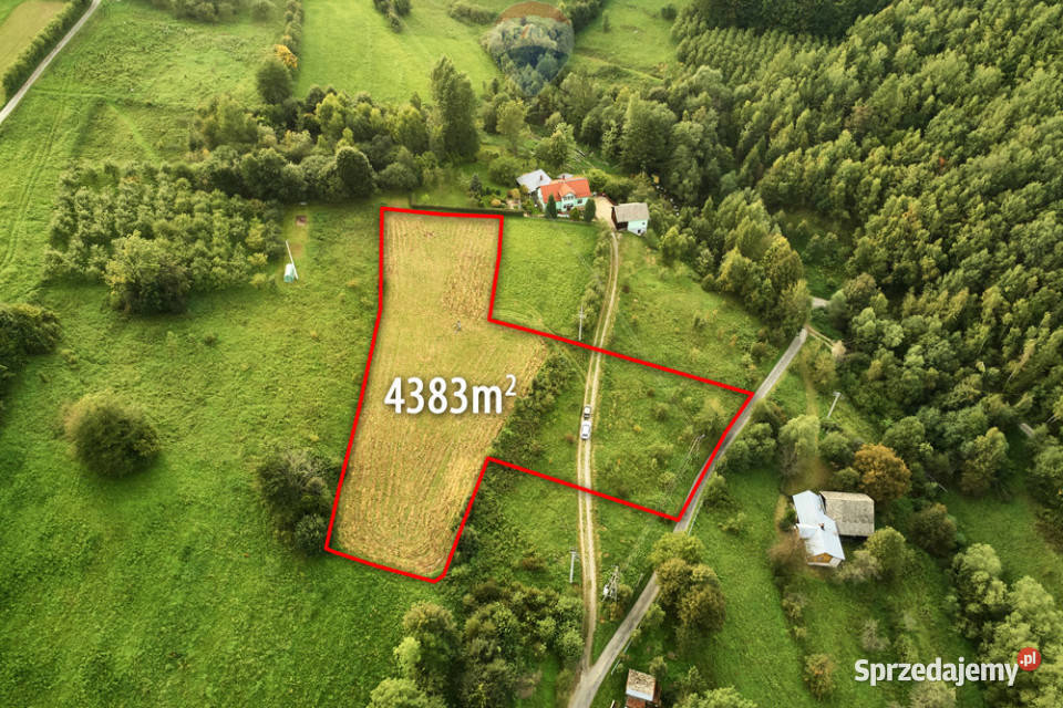Działka budowlana 43 ary Ochotnica Dolna