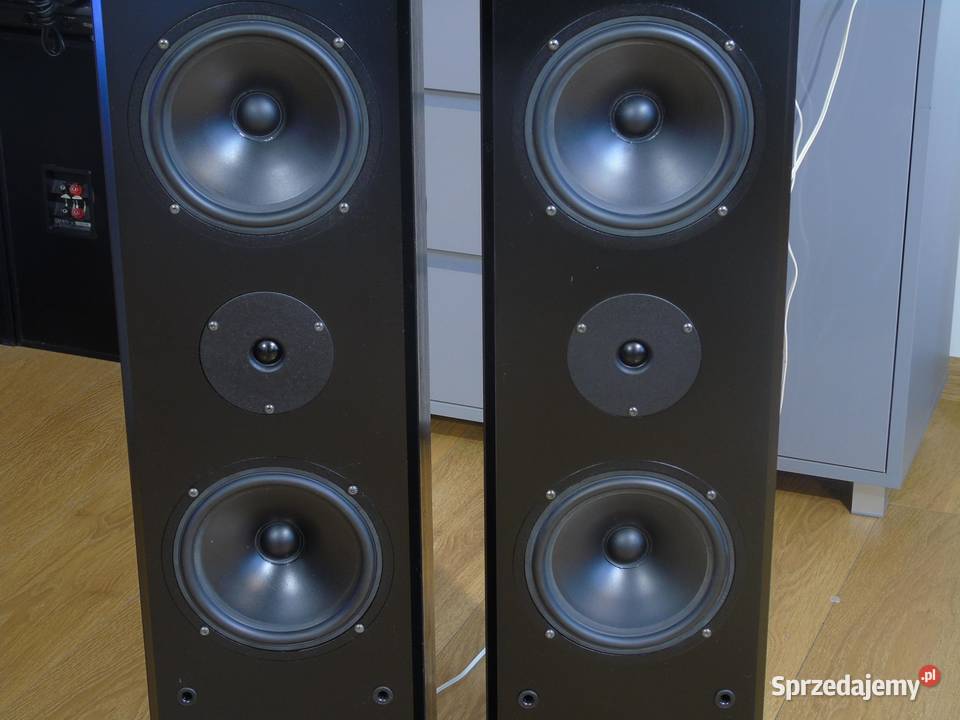 Duńskie kolumny Eltax Linear Response 8 Vifa Jasło