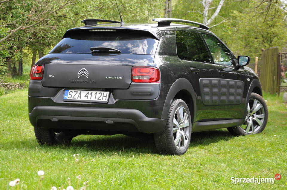 Citron C4 Cactus 12 PureTech Feel Edition 80000km śląskie Zawiercie