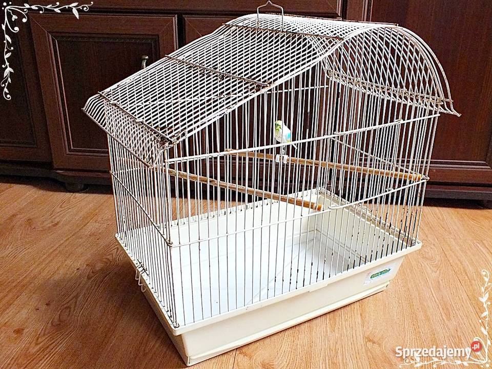 Biała klatka ptaków kanarki zeberki 46x49x30 Lubsko