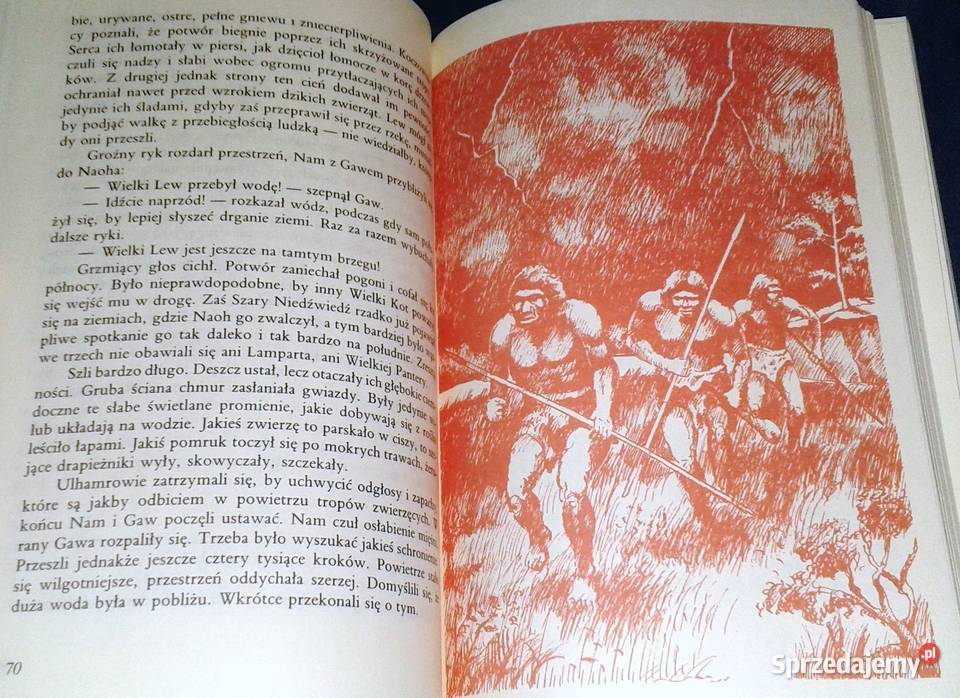 Walka o ogień Joseph Henri Rosny Pozostałe Chełm sprzedam