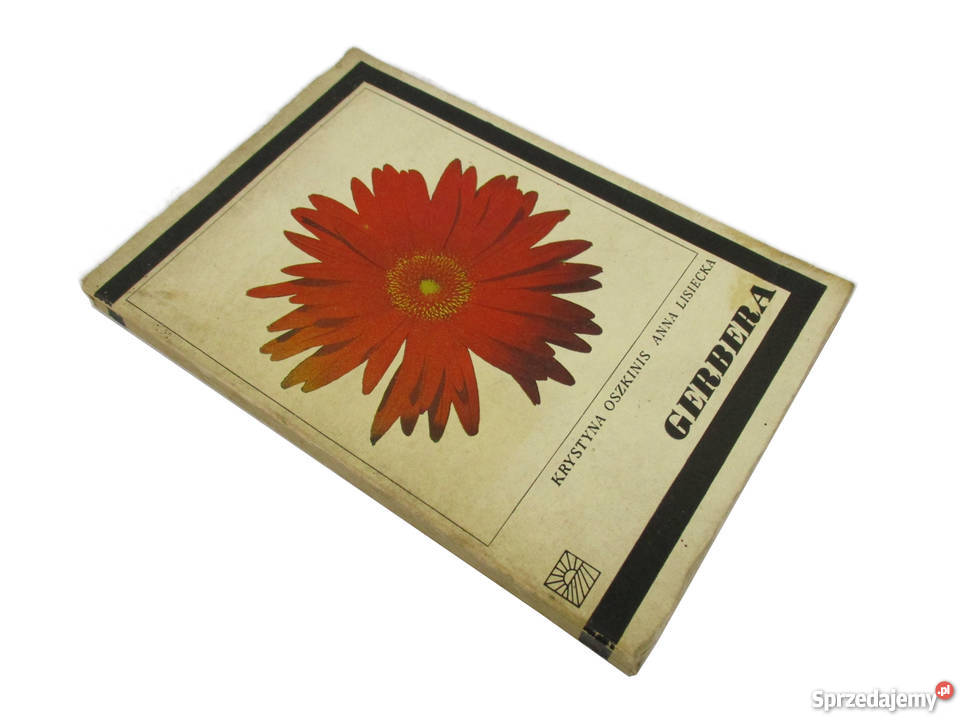 GERBERA K Oszkinis A Lisiecka fa