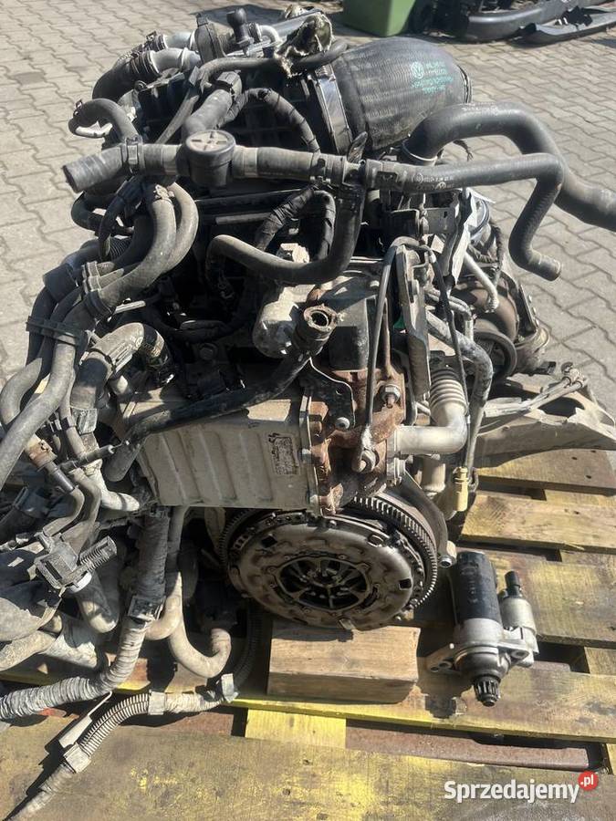 VW T6 wypadku rozbity Gorzów Wielkopolski