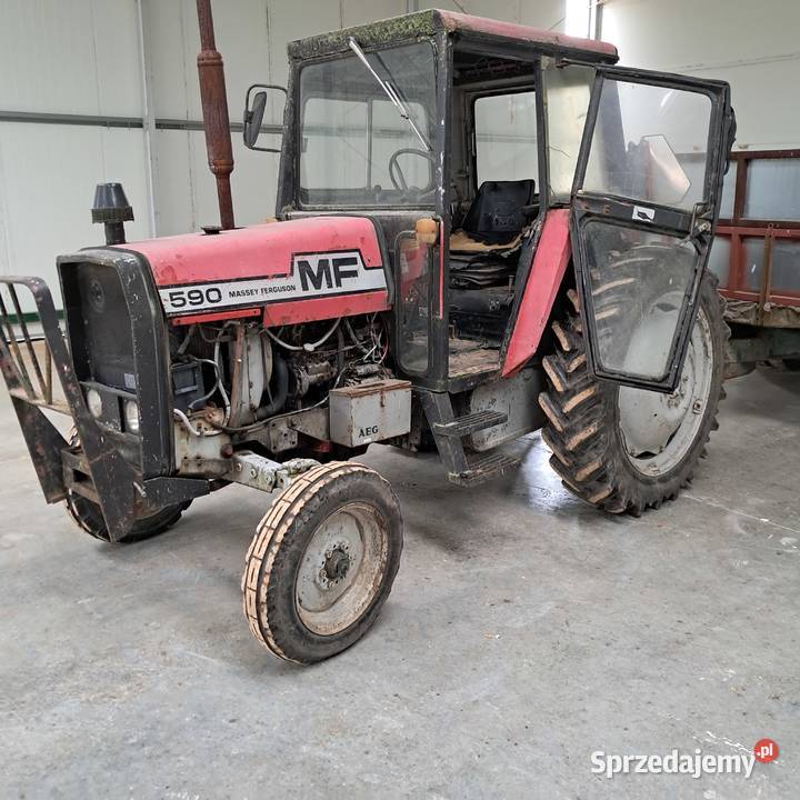 Massey ferguson 590 zachodniopomorskie Goleniów