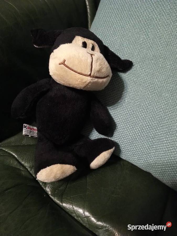 Pluszak Kinder czarna owieczka Tychy