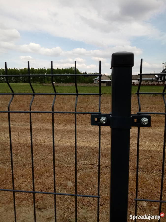 Panel ogrodzeniowy Lisów