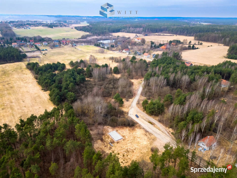 sprzedaży gruntu Zwierzewo 1550m2 sprzedam