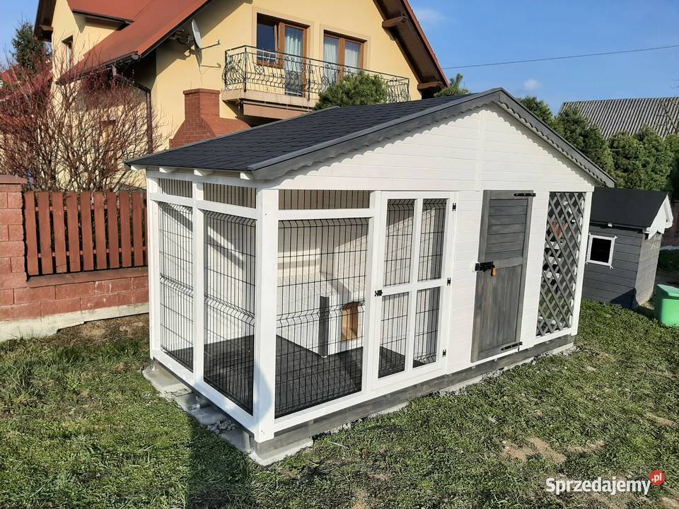 Kojec psa małopolskie Jordanów sprzedam