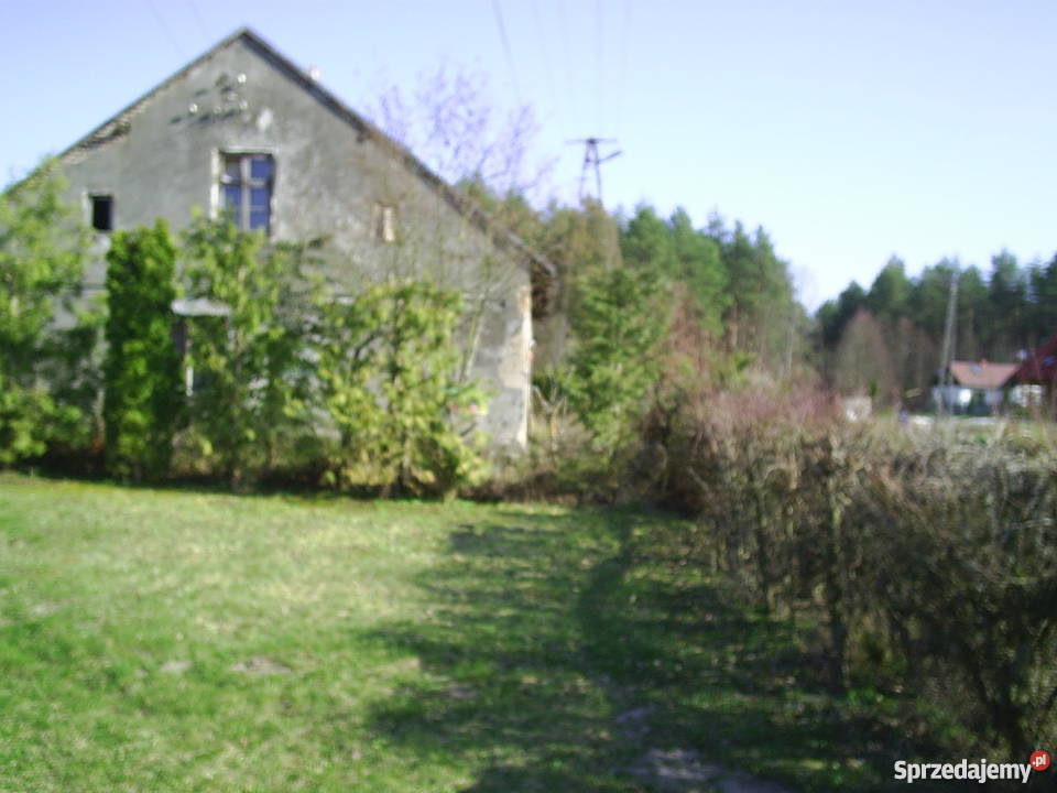 Sprzedam dom na Mazurach Drozdowo sprzedam