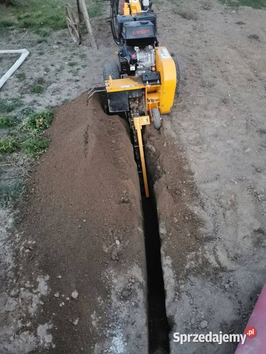 Wynajem sprzętu zagęszczarka glebogryzarka