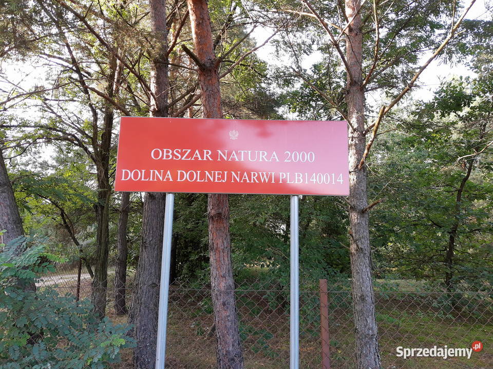 Działka Zambski Kościelne