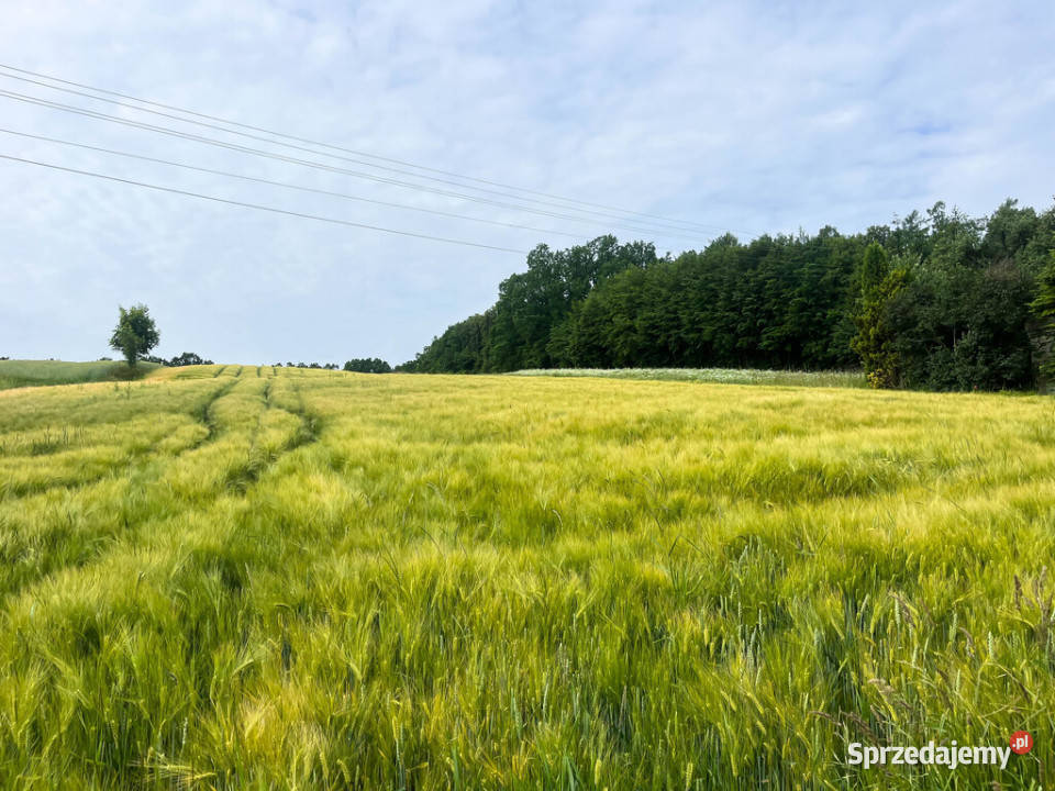 Ustawna działka z WZ 2500m2 Czajęcice Grunty i działki