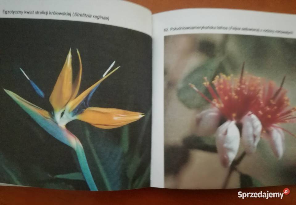 Ogród Botaniczny Uniwersytetu Wrocławskiego Wrocław