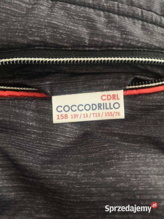 Kurtka Coccodrillo na jesień 158 Gorzów Wielkopolski