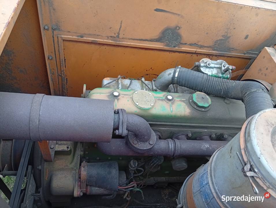 Sprzedam bizona ZO56 Boczki Chełmońskie sprzedam